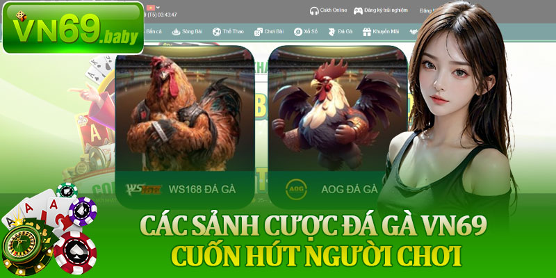 Các Sảnh Cược Đá Gà VN69 Cuốn Hút Người Chơi