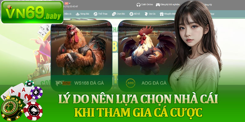 Lý Do Nên Lựa Chọn Nhà Cái Khi Tham Gia Cá Cược
