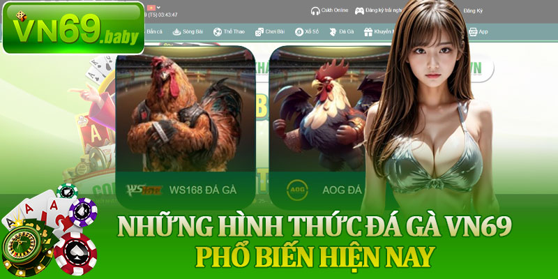 Những Hình Thức Đá Gà VN69 Phổ Biến Hiện Nay