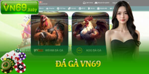 Đá Gà VN69