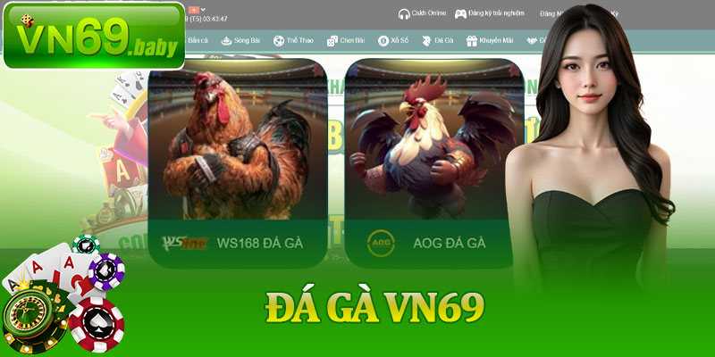 Đá Gà VN69